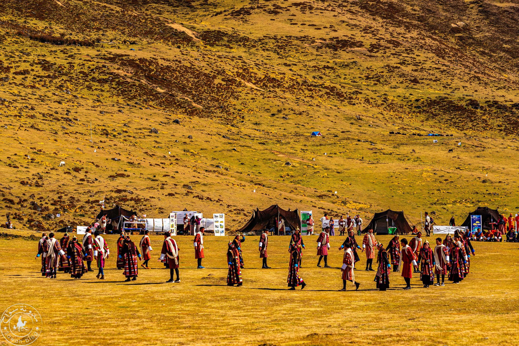 Royal Highland Festival